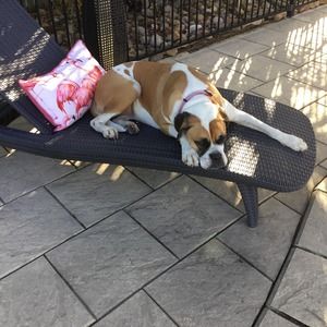 Meet your Posher, Sonya